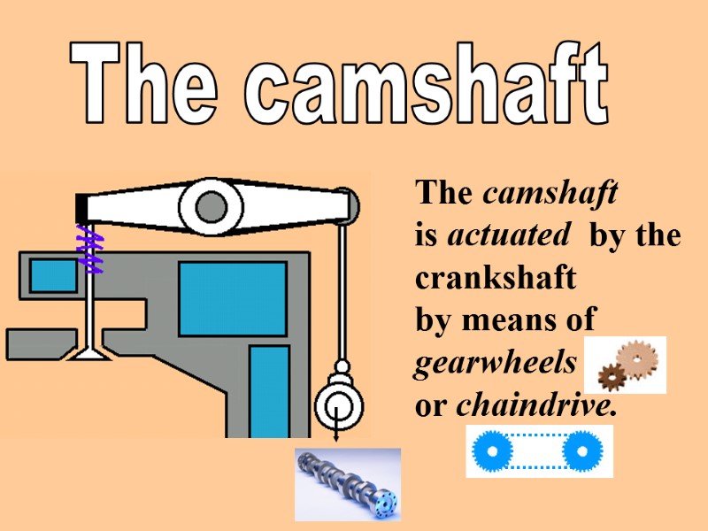 The camshaft  The camshaft   is actuated  by the crankshaft 